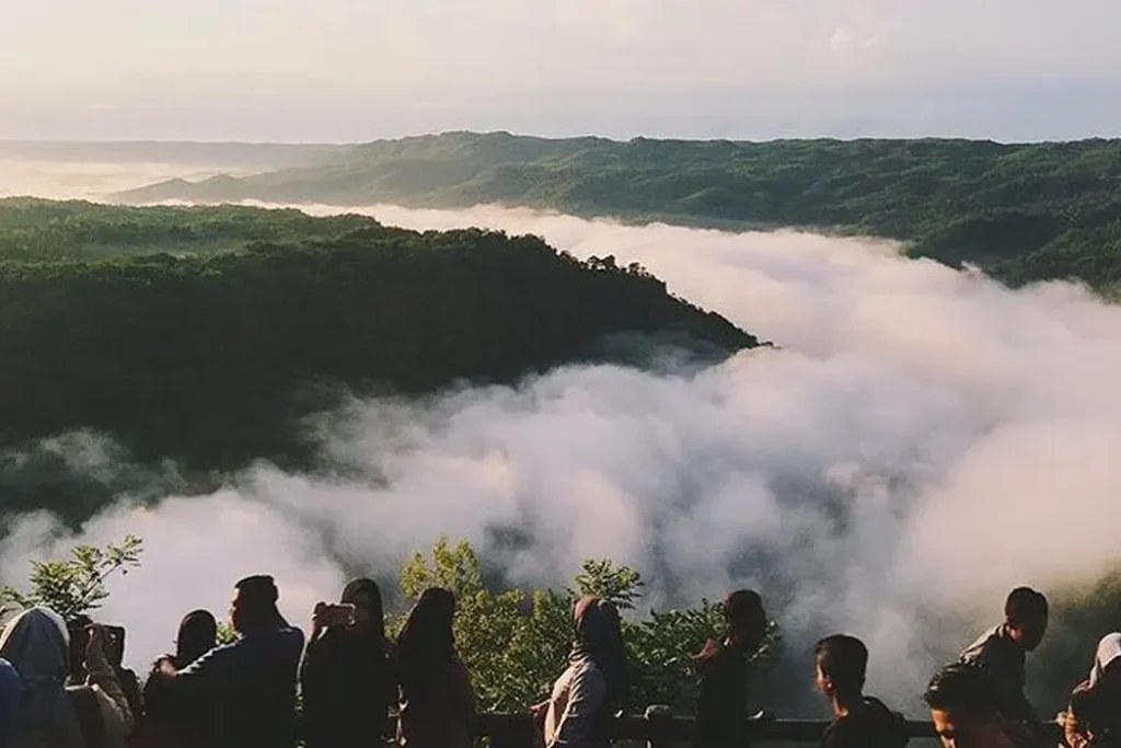 Kebun Buah Mangunan: Tiket Masuk, Fasilitas, Lokasi, dan Rute Menuju Negeri di Atas Awan