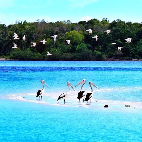 Maluku, “Where Time Slows, Seas Whisper, and Paradise Remembers Its Name”