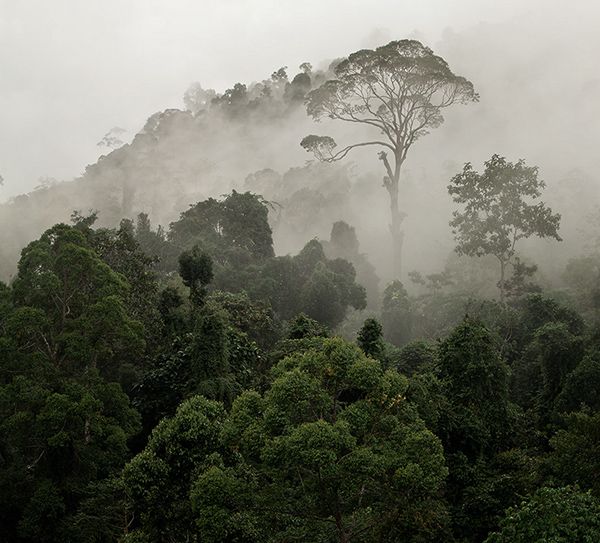 Kalimantan, “The Heart of Borneo”